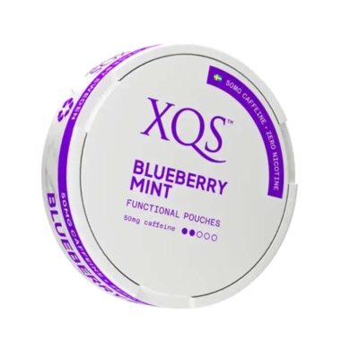 XQS Functional Energy Blueberry Mint